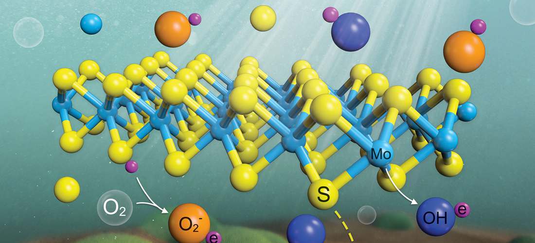 LetPub Journal Cover Art Design - Dissolved Oxygen and Visible Light Irradiation Drive the Structural Alterations and Phytotoxicity Mitigation of Single-Layer Molybdenum Disulfide