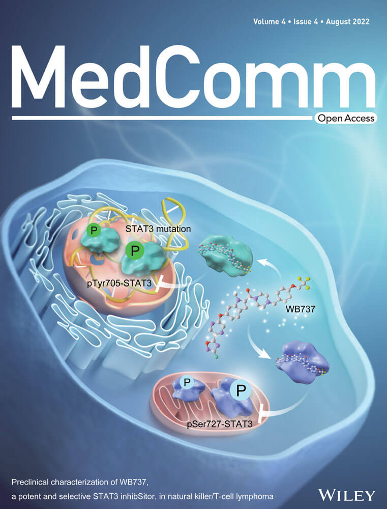 LetPub Journal Cover Art Design - Preclinical characterization of WB737, a potent and selective STAT3 inhibitor, in natural killer/T-cell lymphoma