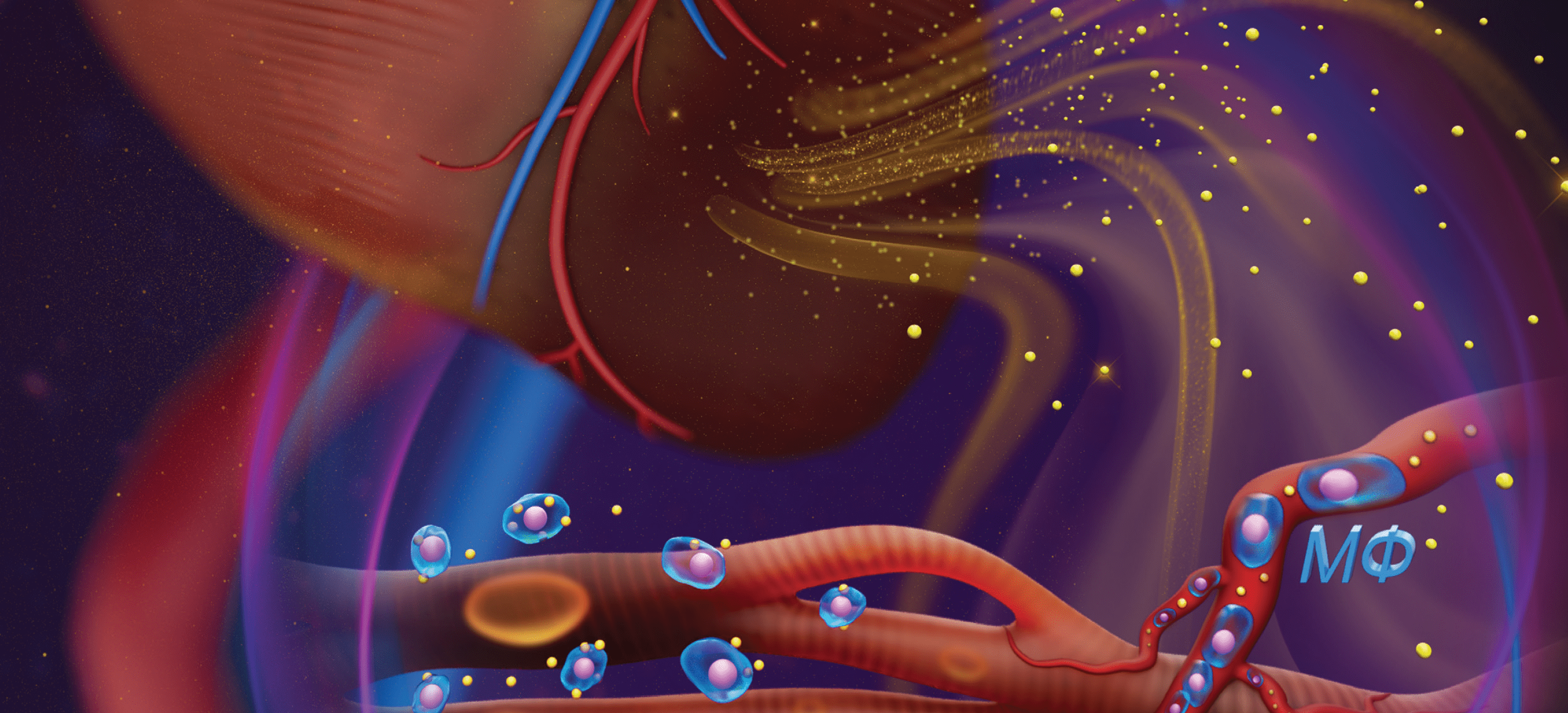 LetPub Journal Cover Art Design - Targeted Delivery of Apoptotic Cell-Derived Nanovesicles prevents Cardiac Remodeling and Attenuates Cardiac Function Exacerbation